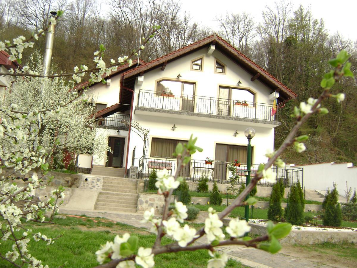 Pension Casa Natura Baile Herculane Exterior photo