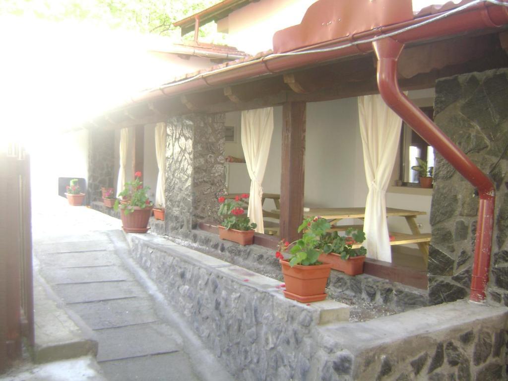 Pension Casa Natura Baile Herculane Exterior photo