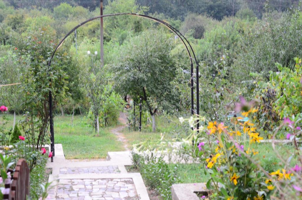 Pension Casa Natura Baile Herculane Exterior photo